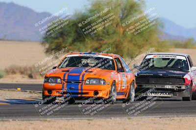 media/Oct-15-2023-Lucky Dog Racing Chuckwalla (Sun) [[f659570f60]]/4th Stint Turn 4 Tree of Life/